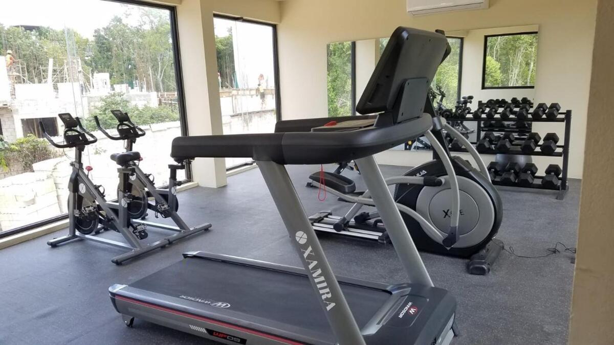 La Veleta, Pet Friendly Apartamento